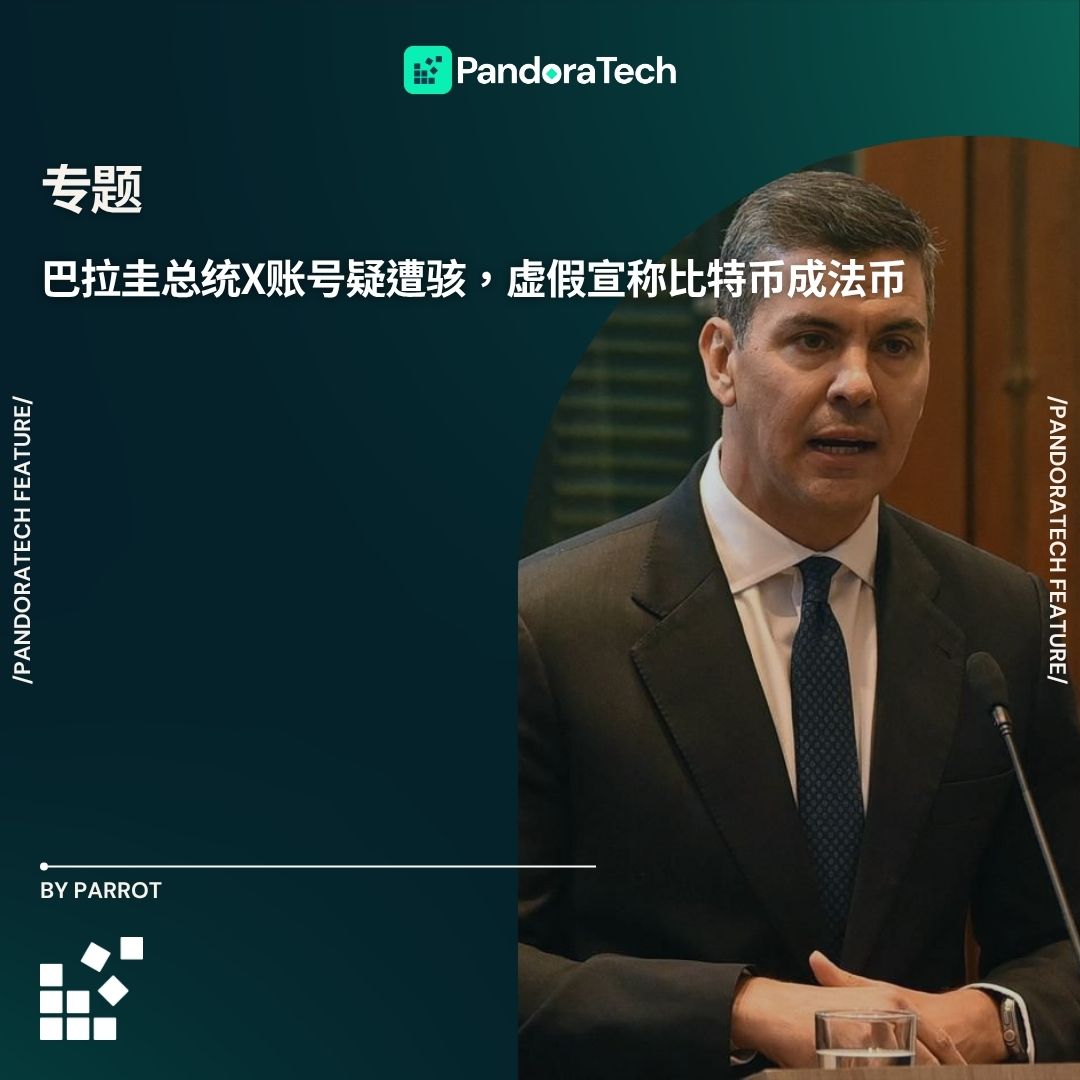 巴拉圭总统X账号疑遭骇，虚假宣称比特币成法币